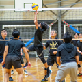 CitySide Venue @ Reservoir Reservoir Social Volleyball with CitySide Sports