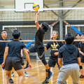 Reservoir Social Volleyball with CitySide Sports